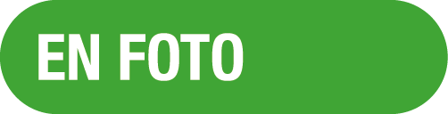  EN FOTO