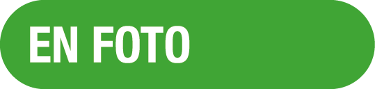  EN FOTO